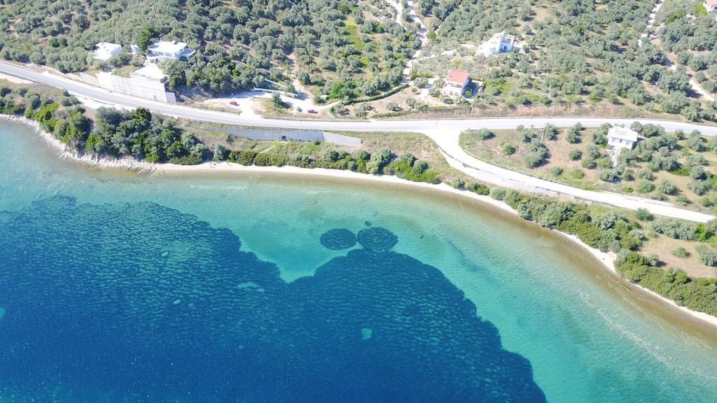 Calypso Beach Hotel Loutra Edipsou  Exterior foto